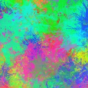 Meet your Posher, Shemica